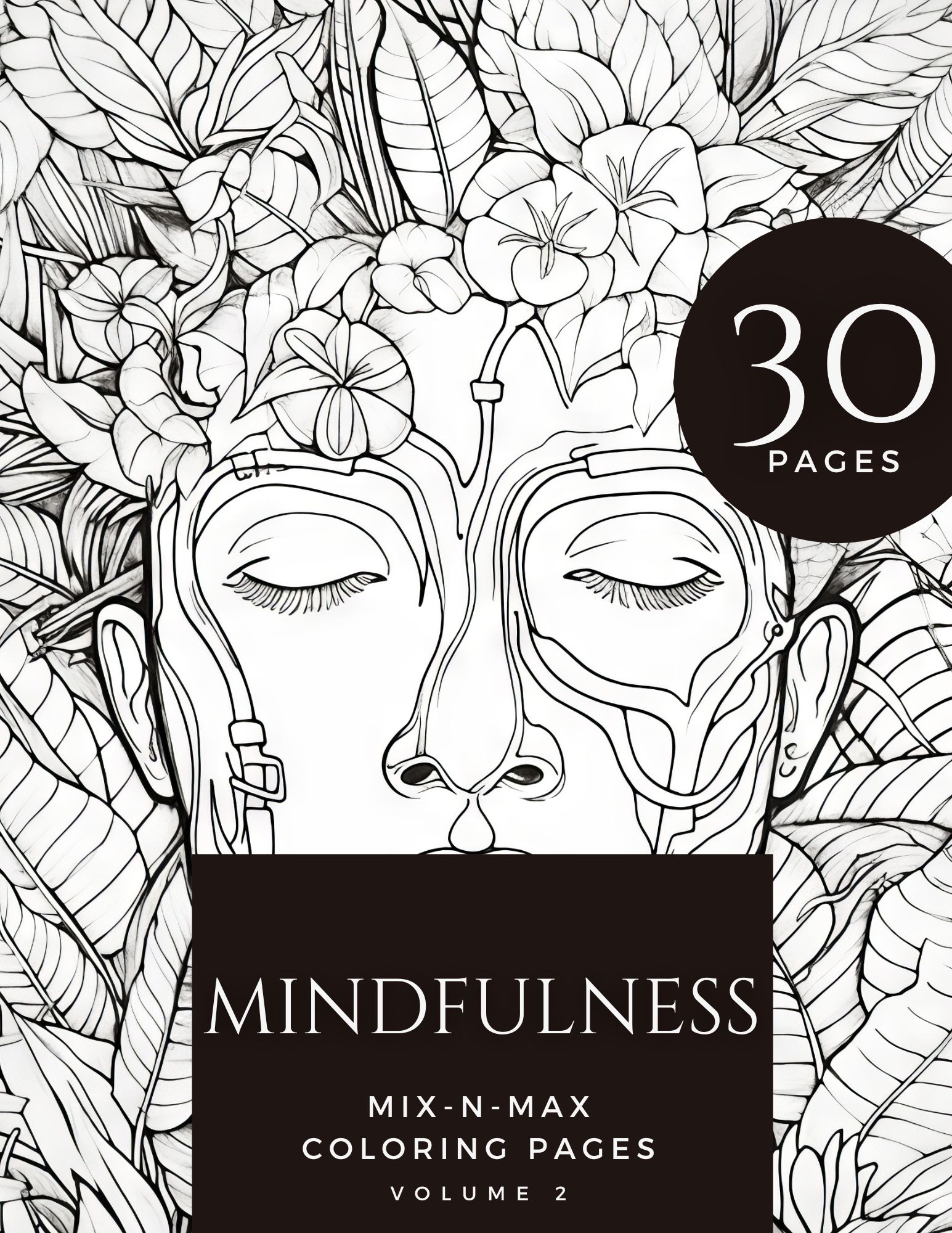 cover - Mindfulness coloring book vol 2